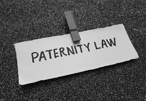 paternity lawyer san francisco bay area California